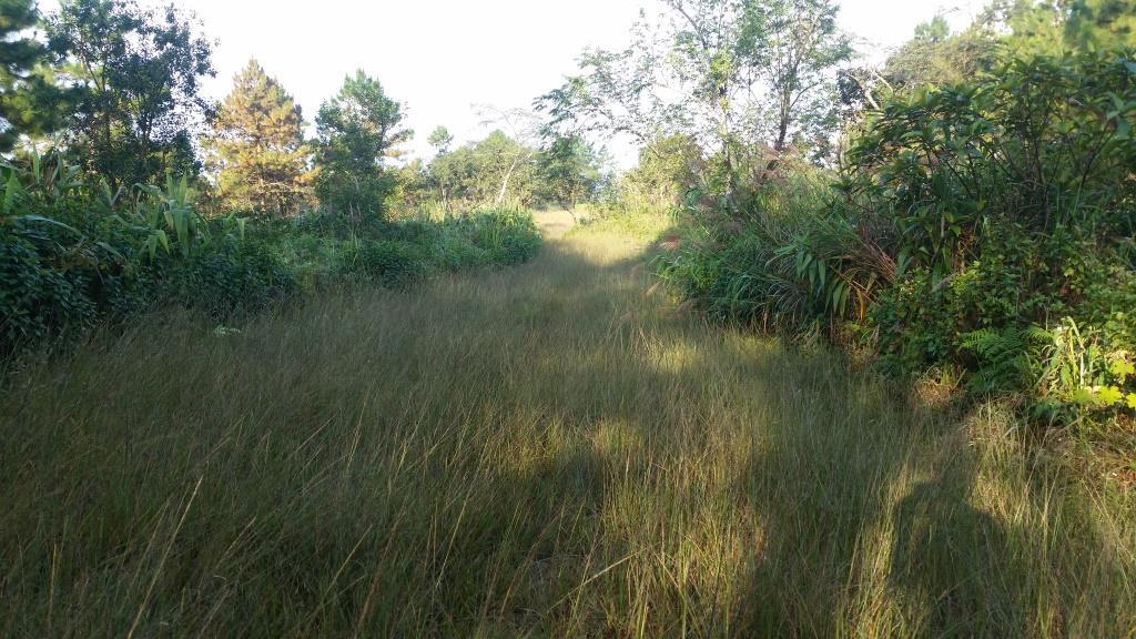 2018-10-10 07.52.10-1.jpg