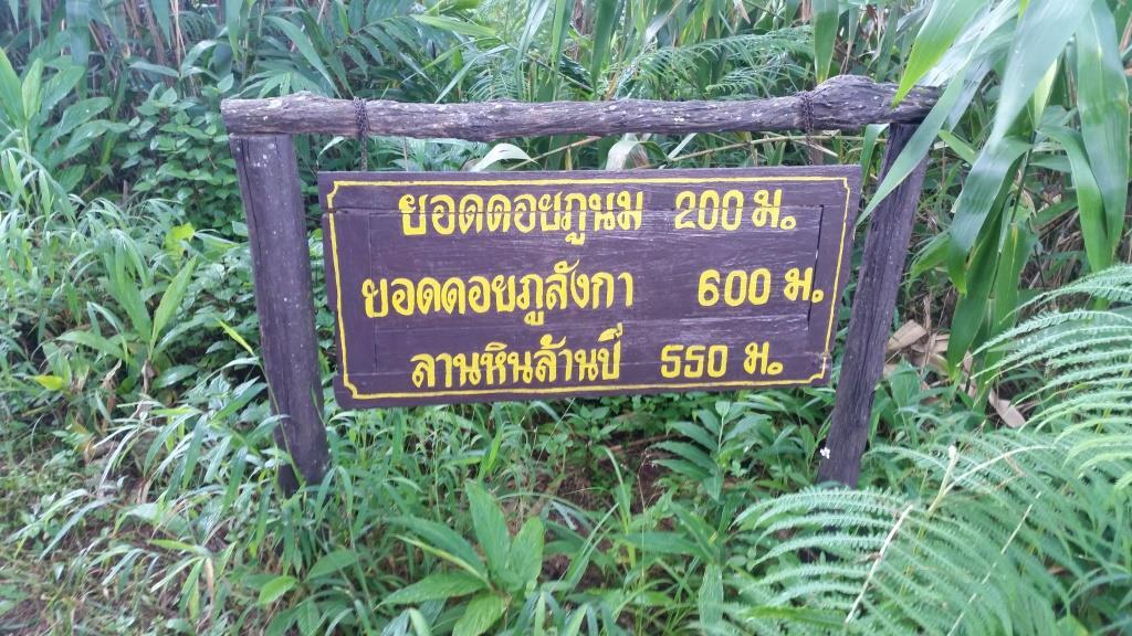 2018-10-10 07.52.39.jpg