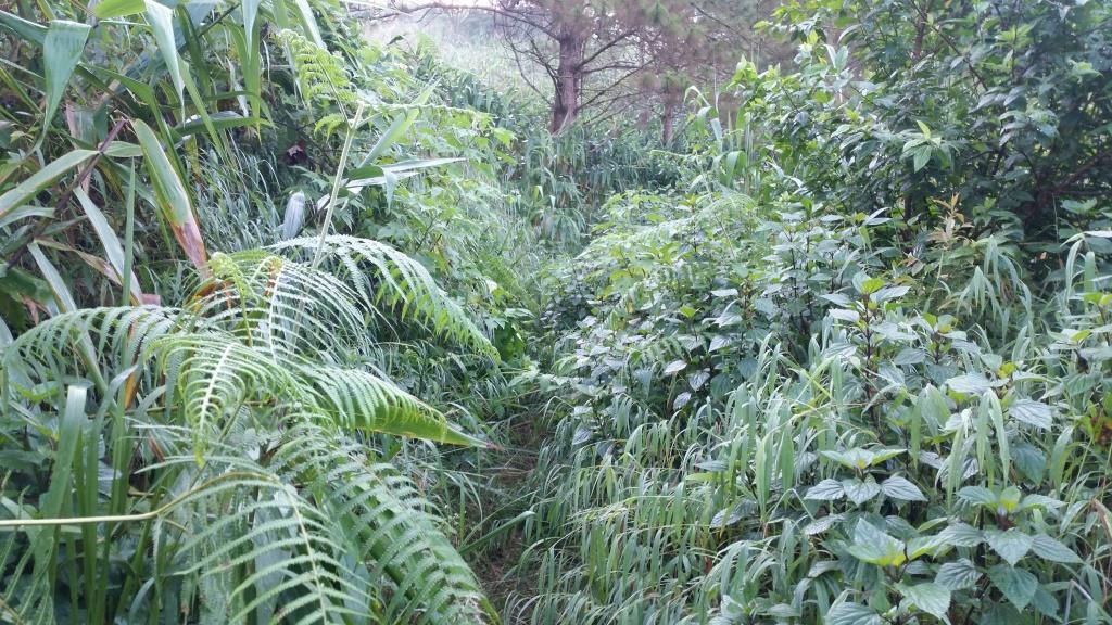 2018-10-10 07.53.33.jpg