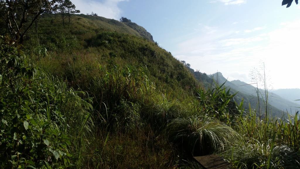 2018-10-10 07.59.48.jpg