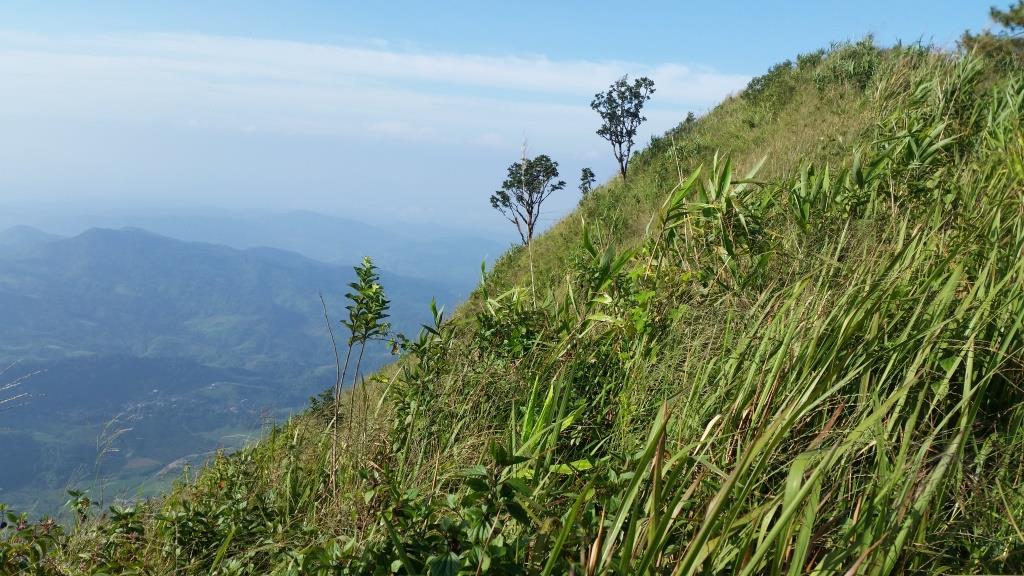 2018-10-10 08.08.32.jpg