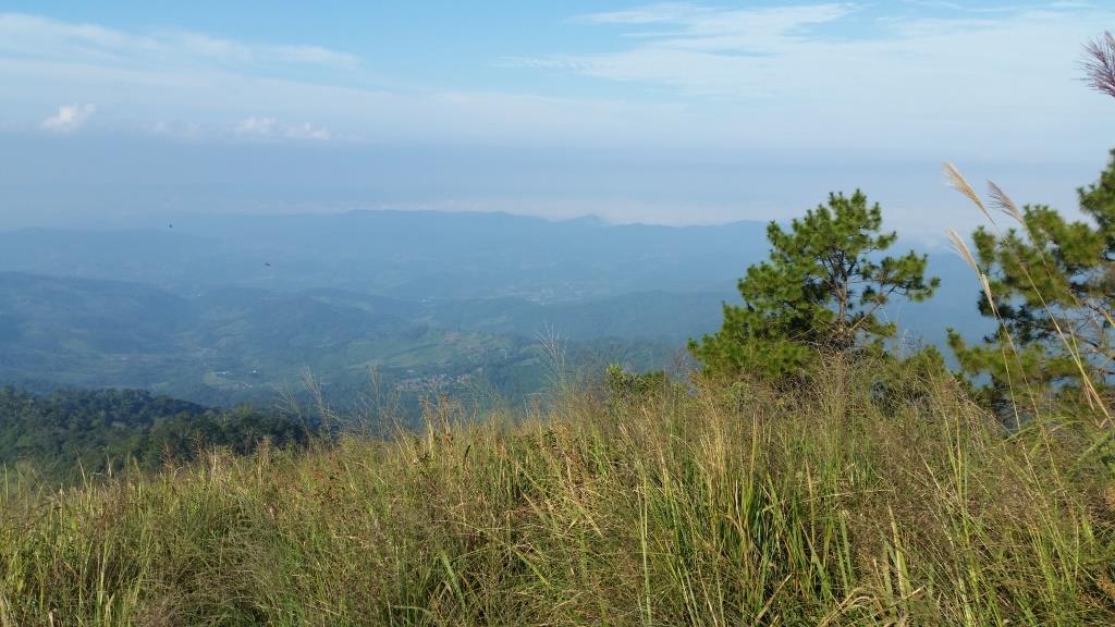 2018-10-10 08.14.38.jpg