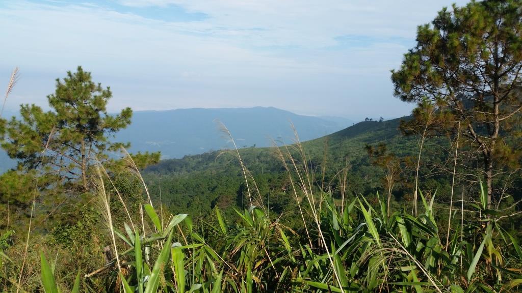 2018-10-10 08.15.30-1.jpg