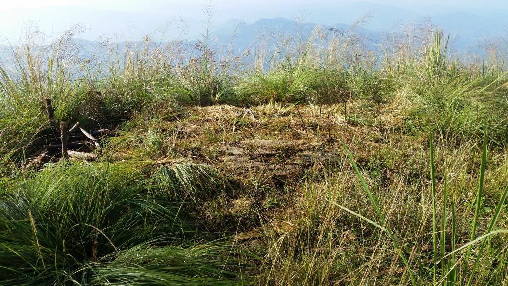 2018-10-10 08.16.08.jpg