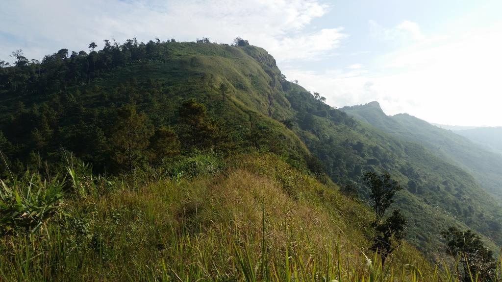 2018-10-10 08.16.15-1.jpg