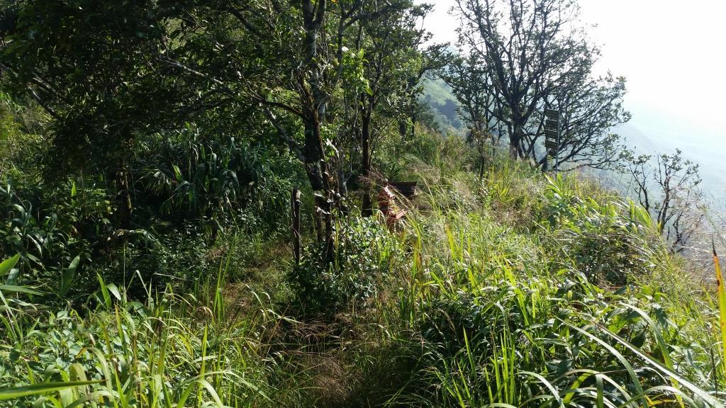 2018-10-10 08.19.02-1.jpg