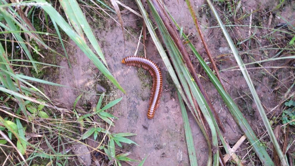 2018-10-10 08.22.22-1.jpg