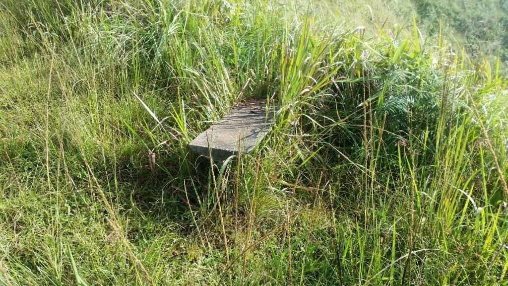 2018-10-10 08.29.46.jpg