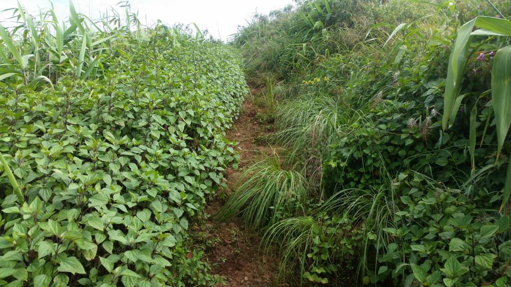 2018-10-10 08.35.06.jpg