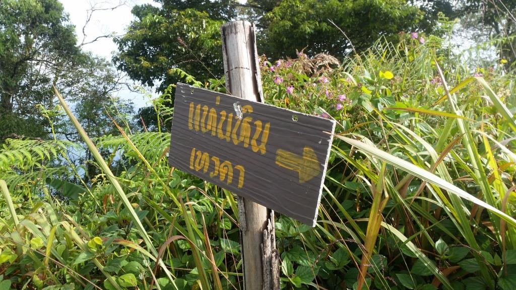 2018-10-10 08.36.36-1.jpg