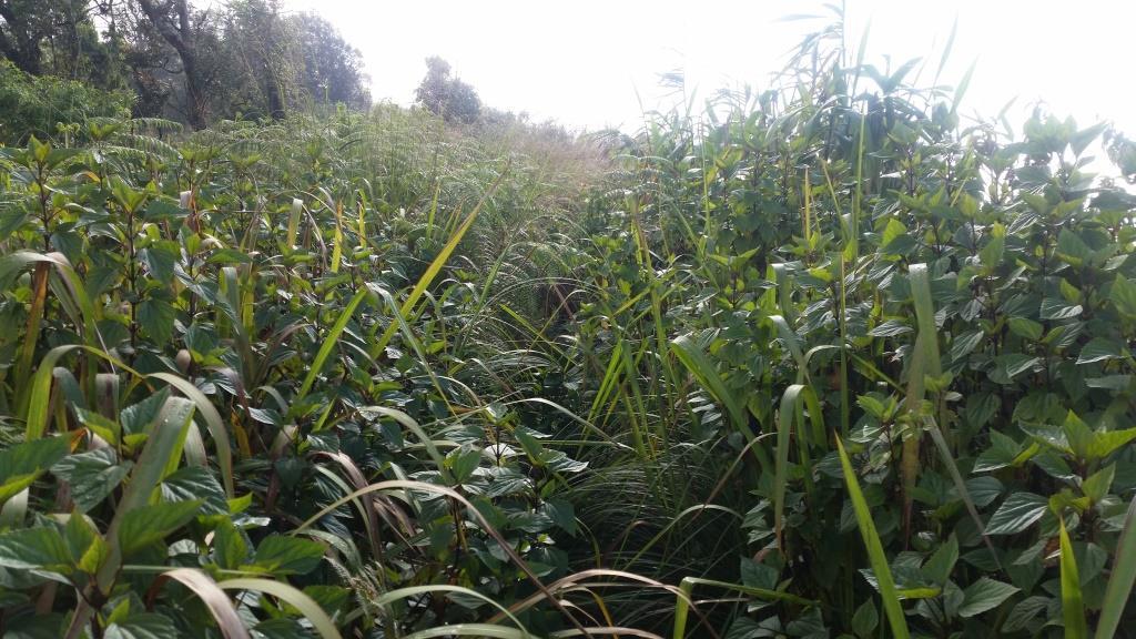 2018-10-10 08.37.59-1.jpg