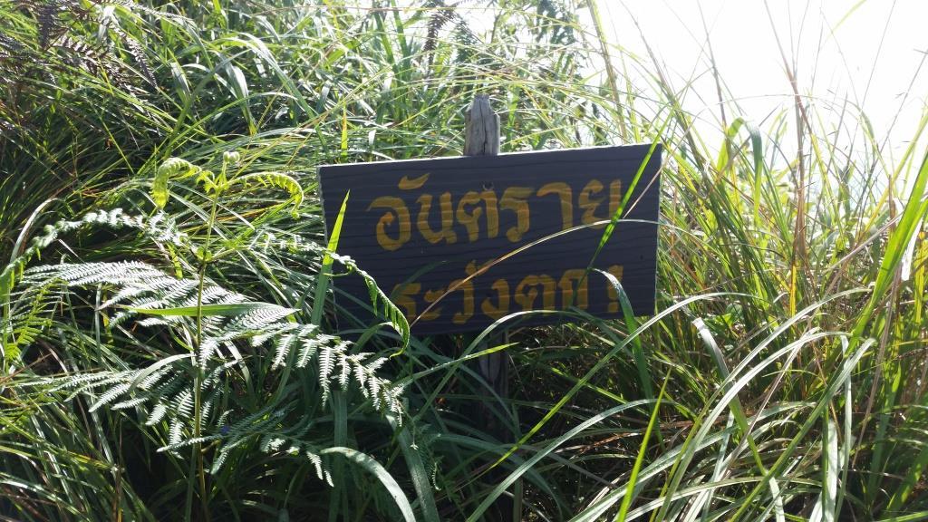 2018-10-10 08.41.16.jpg