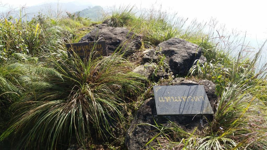 2018-10-10 08.43.26-1.jpg