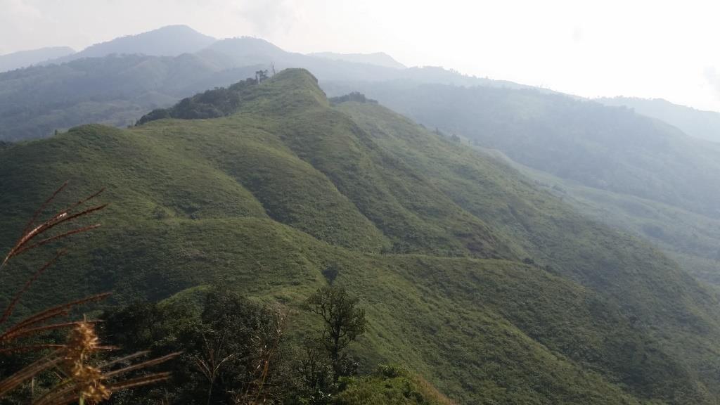 2018-10-10 08.45.05-1.jpg