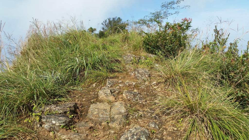 2018-10-10 08.45.55-1.jpg