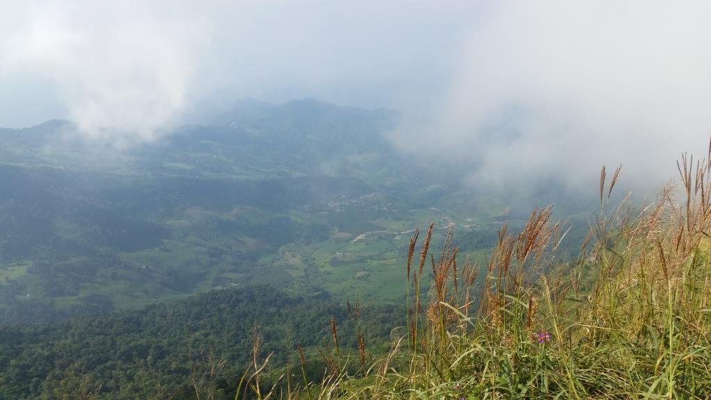 2018-10-10 08.46.59-1.jpg