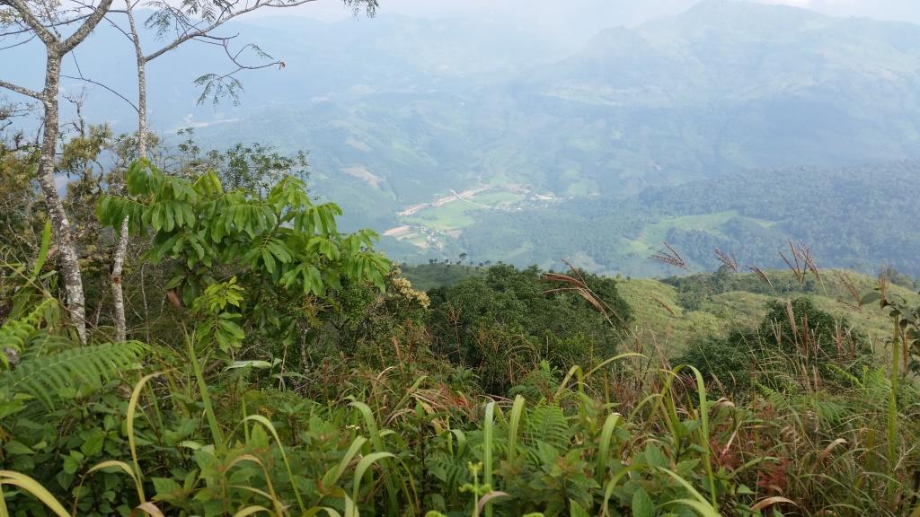 2018-10-10 08.57.20-1.jpg