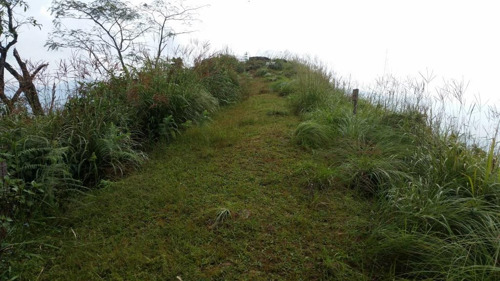 2018-10-10 08.59.24.jpg