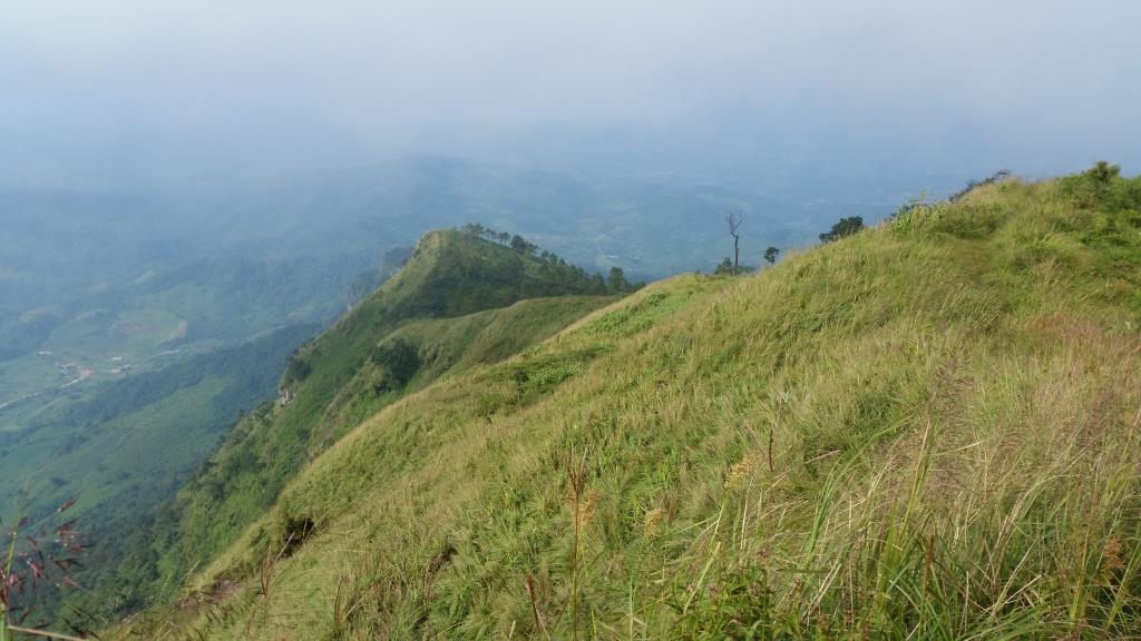 2018-10-10 09.00.32.jpg