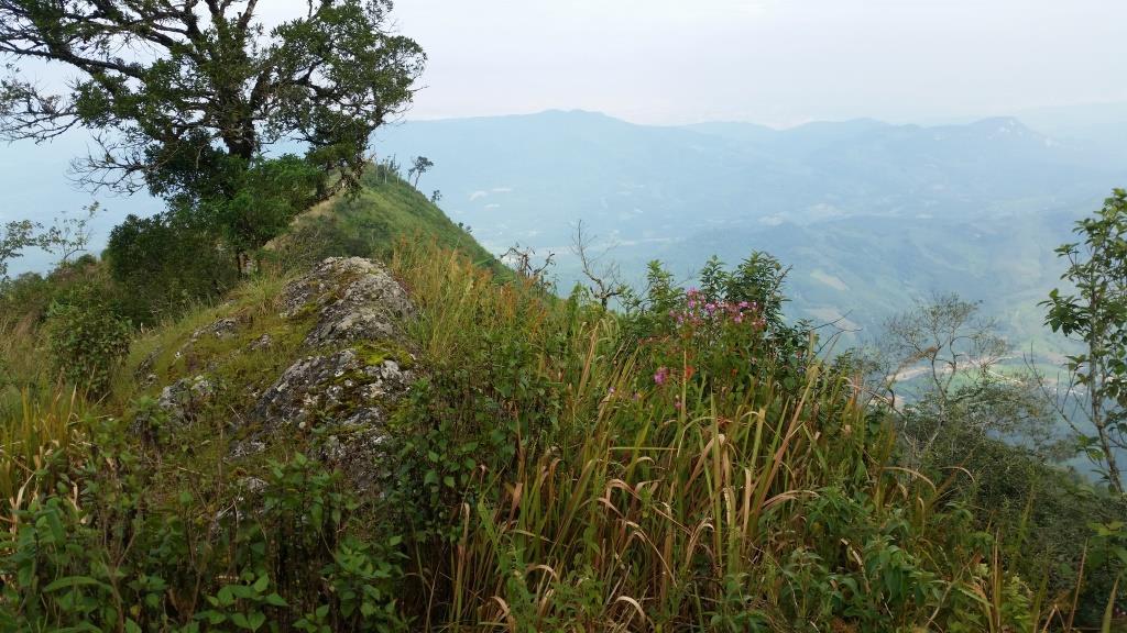 2018-10-10 09.08.26.jpg