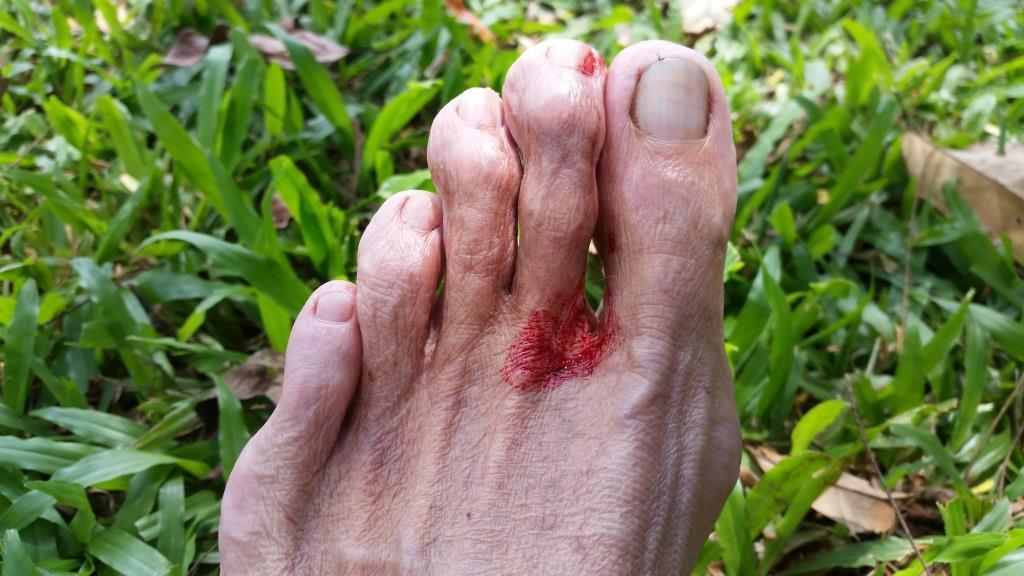 2018-10-10 11.58.35-1.jpg