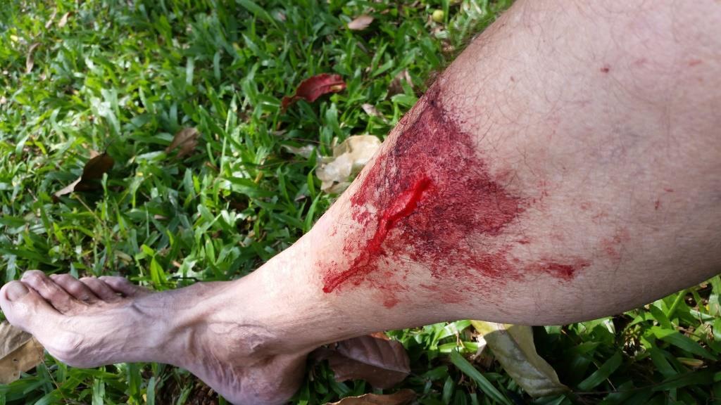 2018-10-10 11.58.45-1.jpg