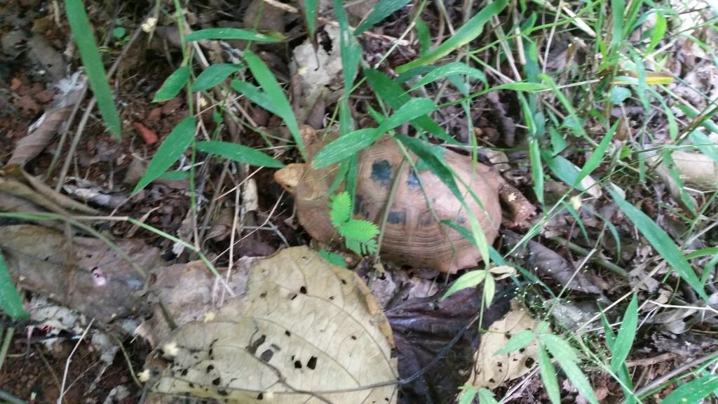 2018-10-10 14.11.55-1.jpg