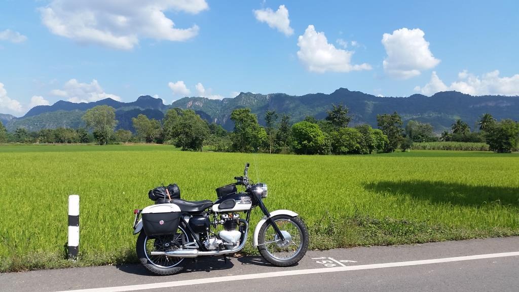 2018-11-15 12.52.36.jpg