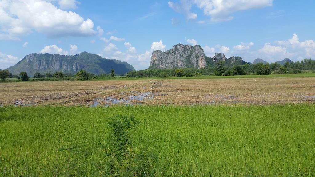 2018-11-15 13.01.27.jpg