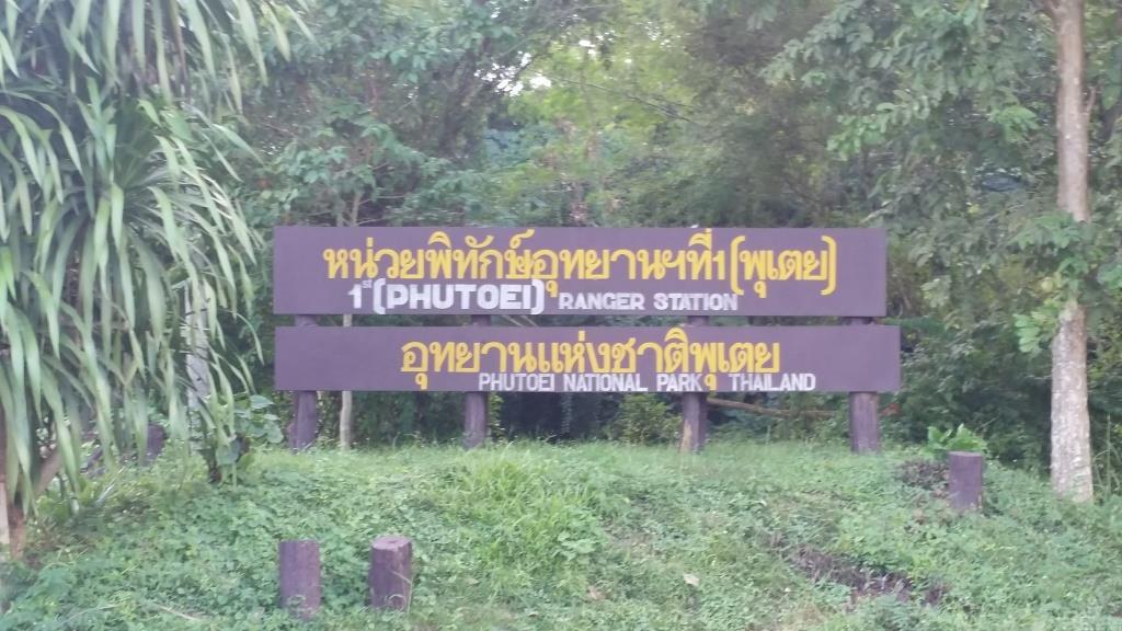 2018-11-15 15.06.14.jpg