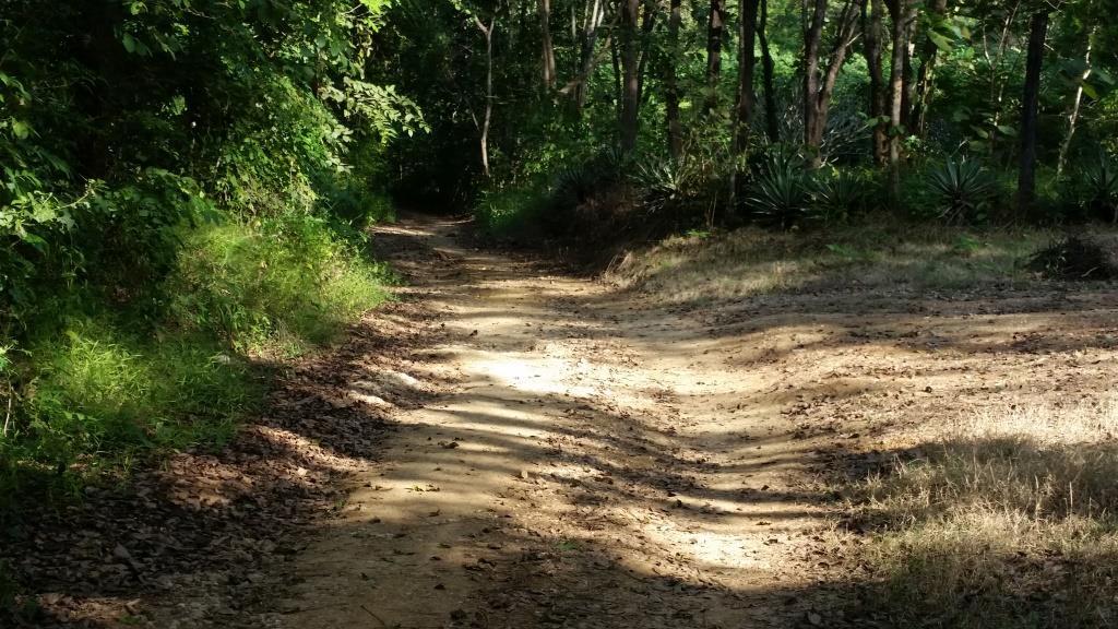 2018-11-15 15.12.30.jpg