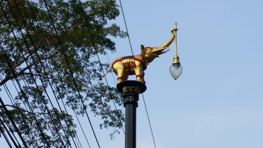 2018-11-16 07.42.14.jpg