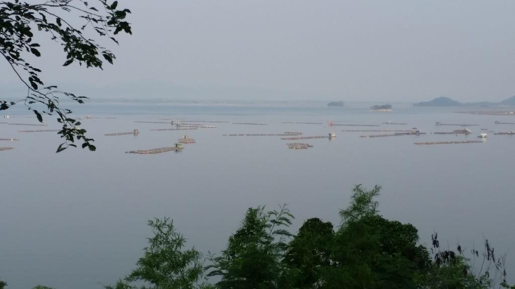 2018-11-16 07.48.08.jpg