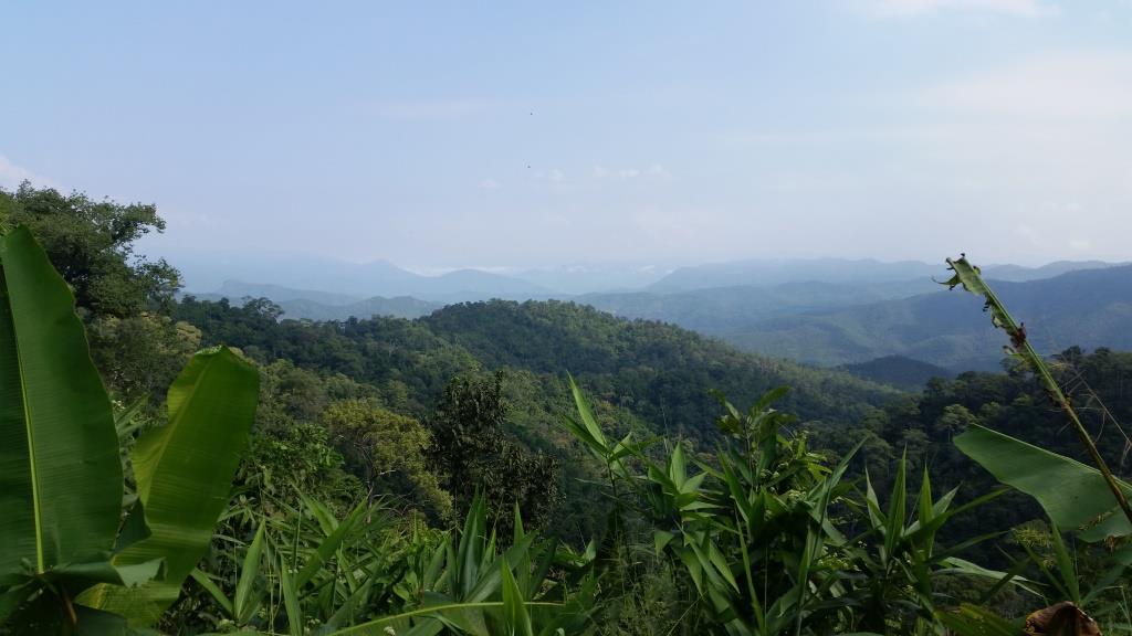 2018-11-16 10.15.25-1.jpg