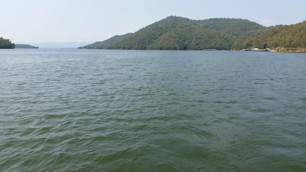 2018-11-16 11.43.12.jpg