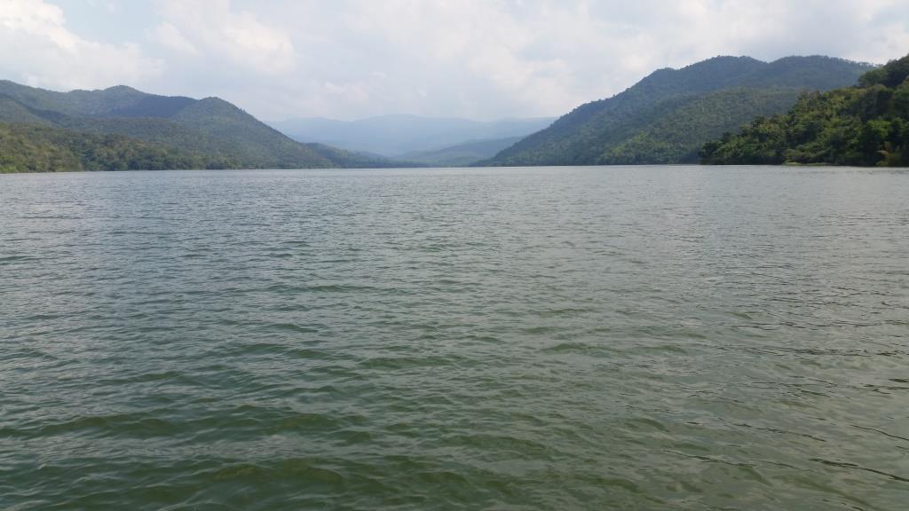 2018-11-16 11.44.14.jpg