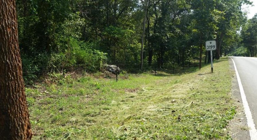 2018-11-16 11.55.17.jpg