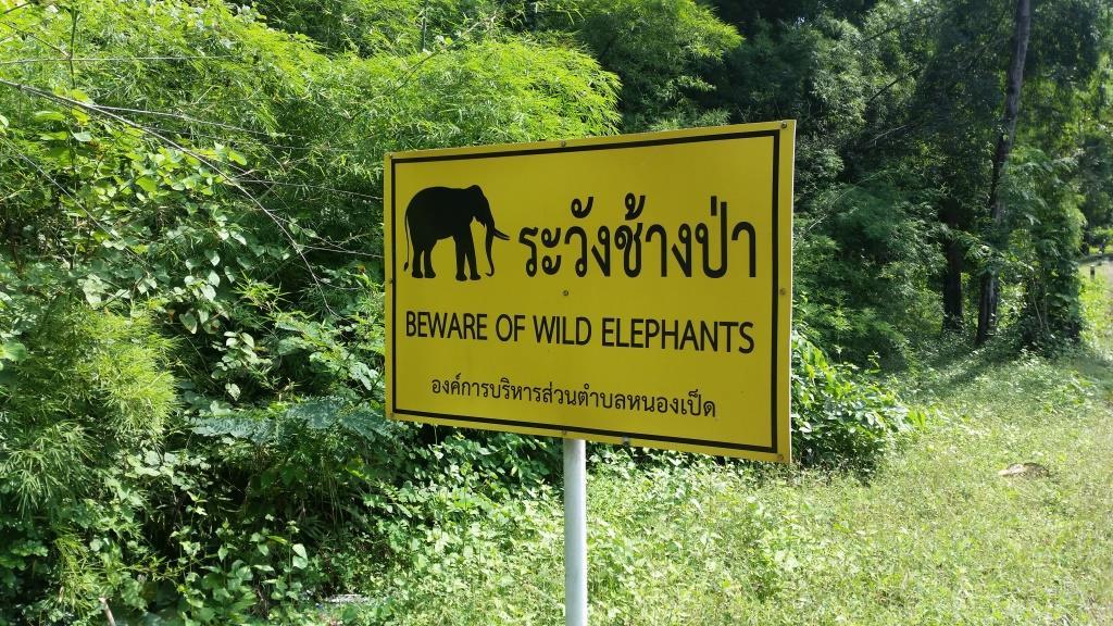 2018-11-16 12.01.46.jpg