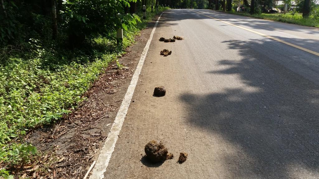 2018-11-16 12.02.14.jpg