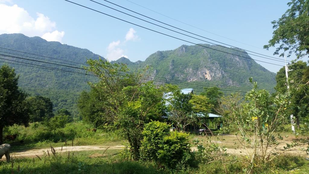 2018-11-17 09.58.03-1.jpg