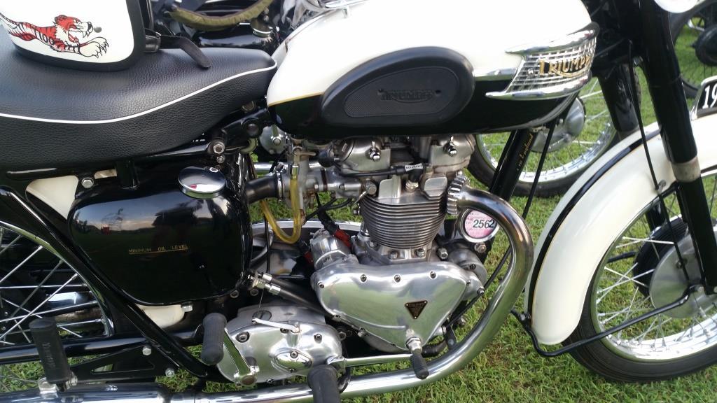 2018-11-17 17.08.12.jpg