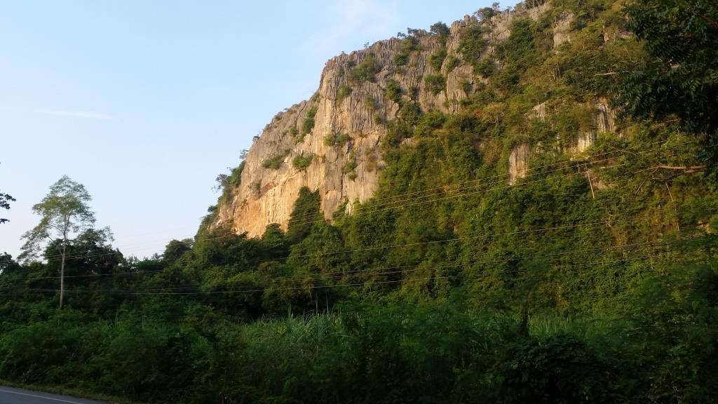 2018-11-19 07.09.01.jpg