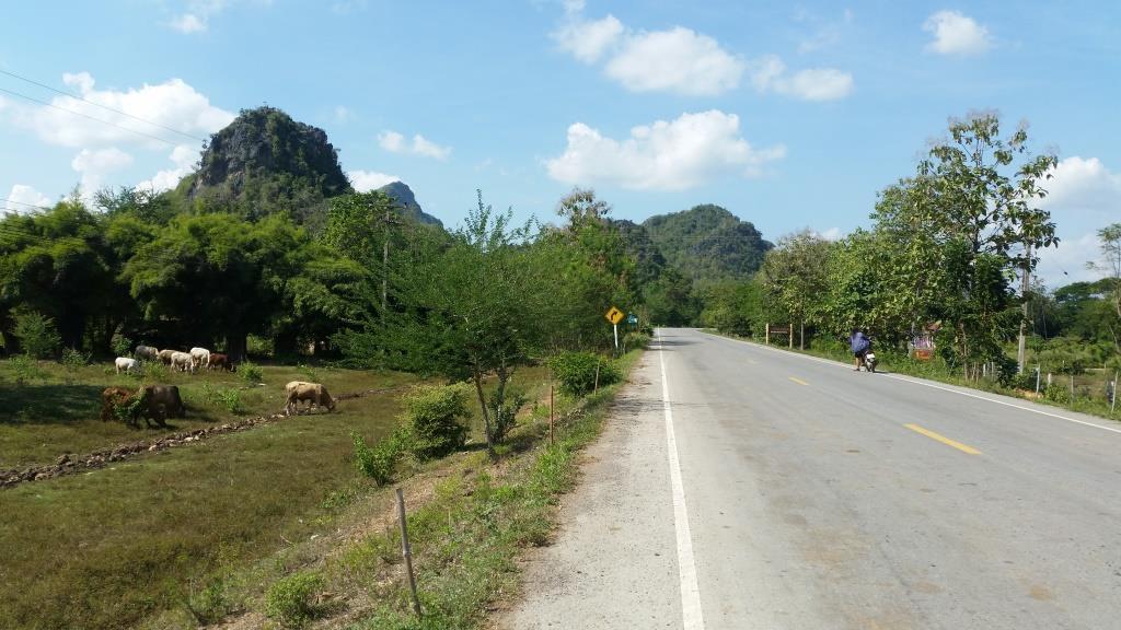 2018-11-19 12.56.25.jpg