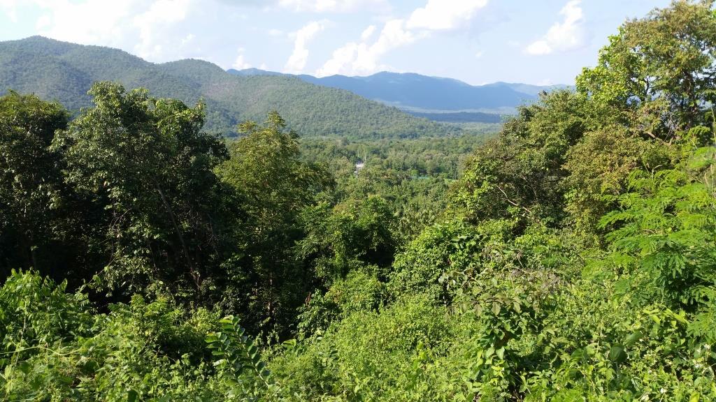 2018-11-19 14.32.40.jpg