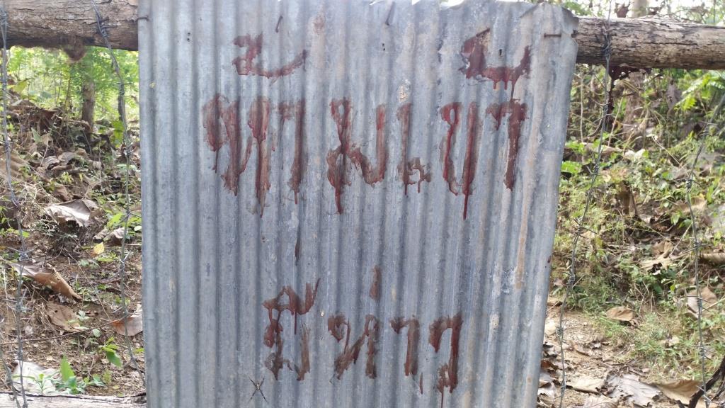 2018-11-20 10.40.27.jpg