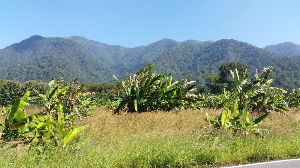 2018-11-26 12.57.54-1.jpg