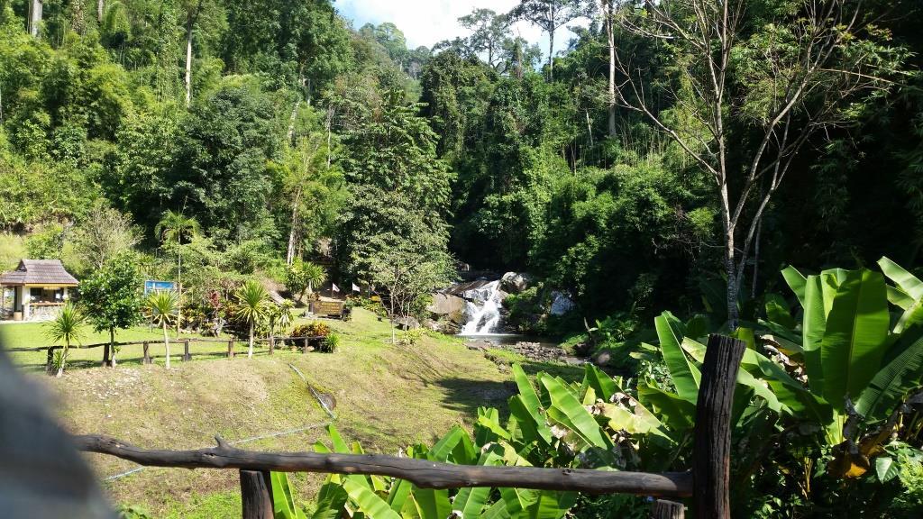 2018-11-26 13.08.48.jpg