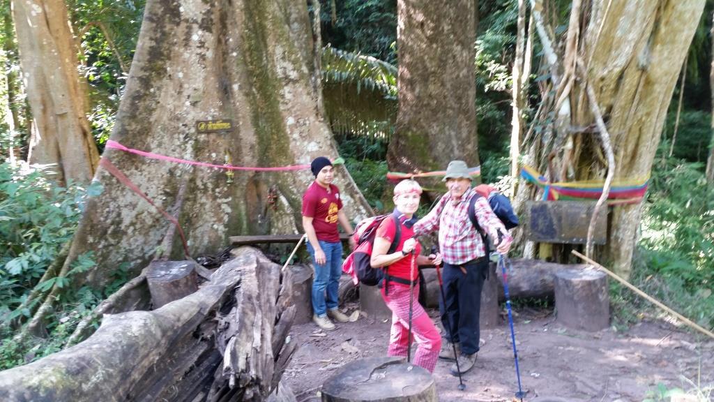 2018-11-27 09.41.35-1.jpg