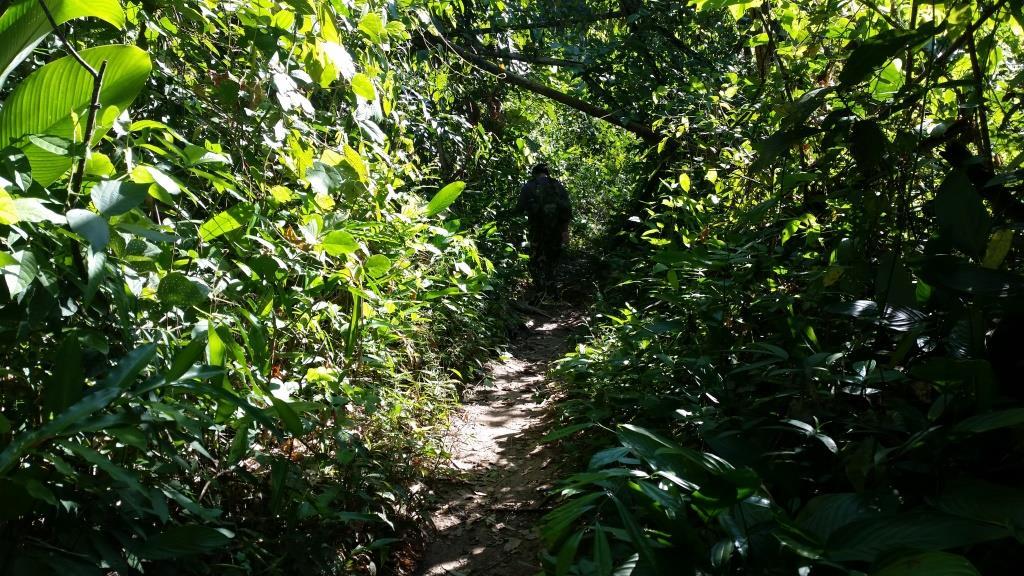 2018-11-27 09.56.03-1.jpg