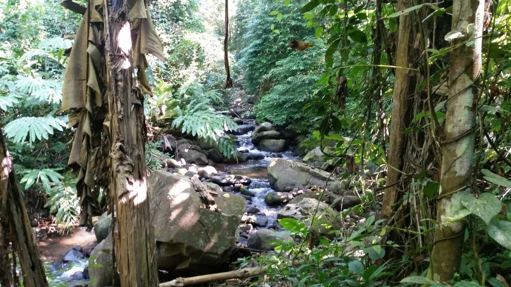 2018-11-27 10.01.08-1.jpg